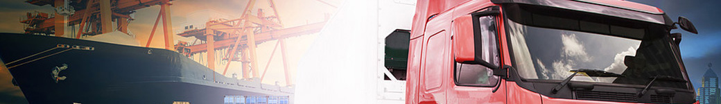 LCS Logistics Consulting Services About Us Banner