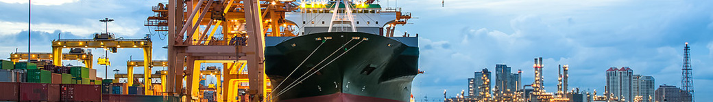 LCS Logistics Consulting Services References Banner