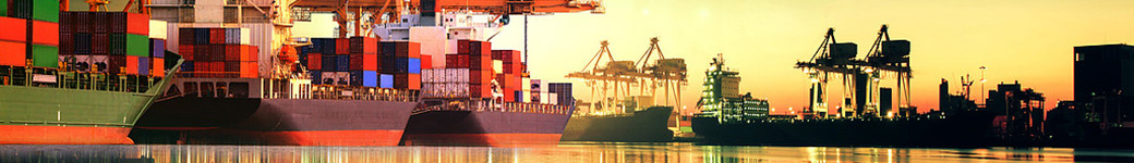 LCS Logistics Consulting Services Banner
